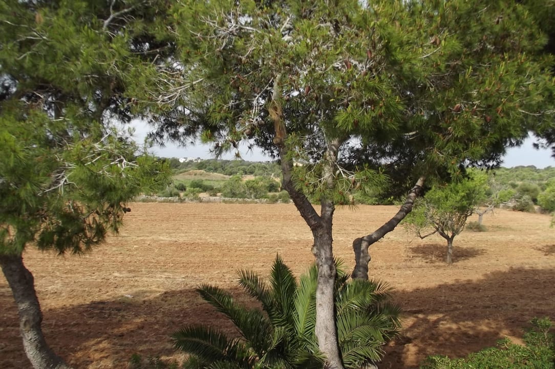 Vom Balkon Village Cala Santanyi