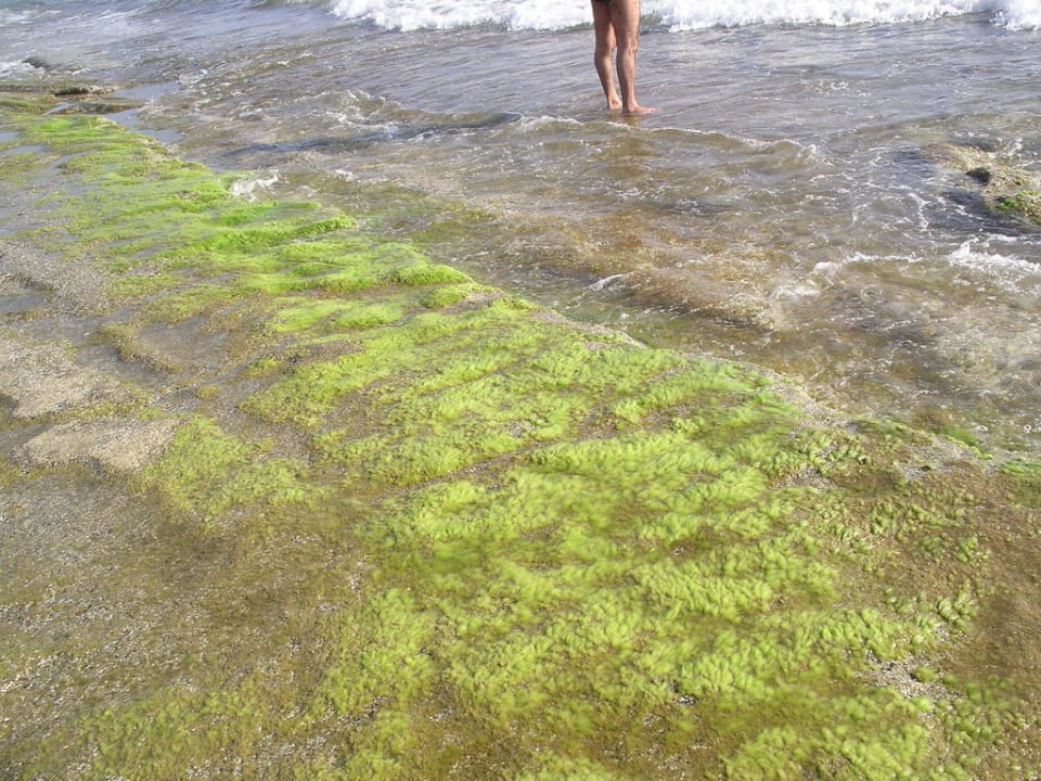 Mal was anderes als Sand Club Hotel Mirabell