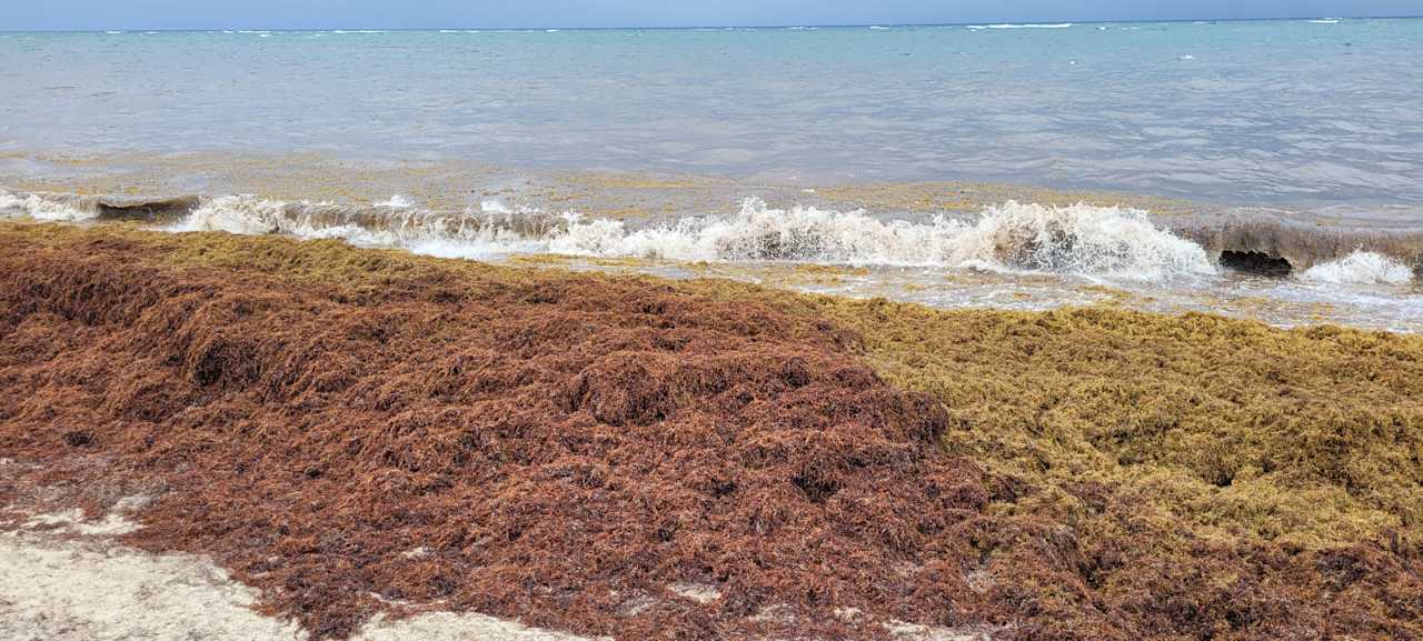 Strand Hotel Riu Palace Macao - Adults only