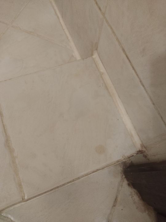 Zimmer Jaz Makadi Saraya Resort