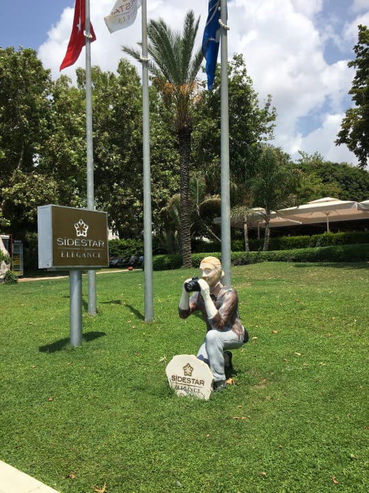 Sonstiges Side Star Elegance