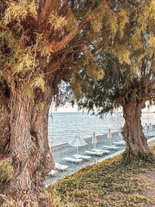 Strand Dimitra Beach Hotel & Suites