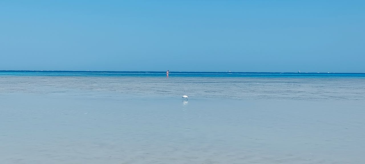 Strand JAZ Elite Asteria