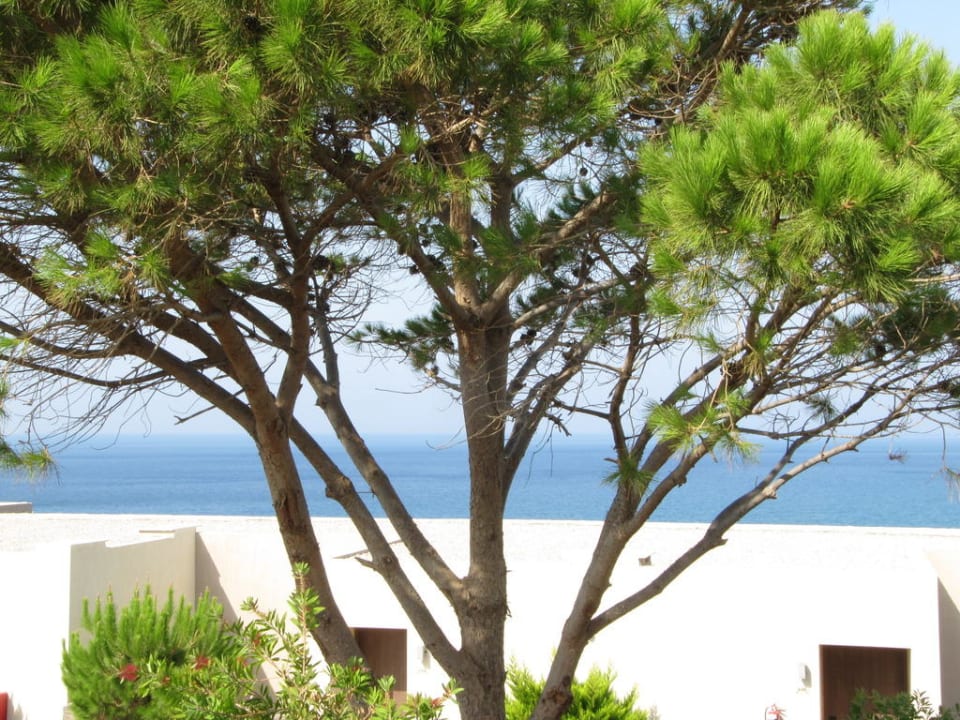 Auf dem Weg zum Strand Atlantica Mikri Poli Crete