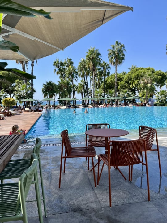 Gastro Acanthus Cennet Barut Collection