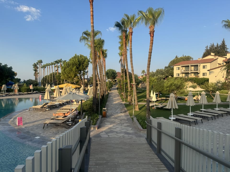 Pool Arum Barut Collection