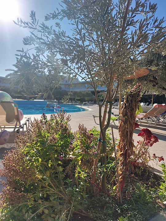 Pool TUI KIDS CLUB Alex Beach