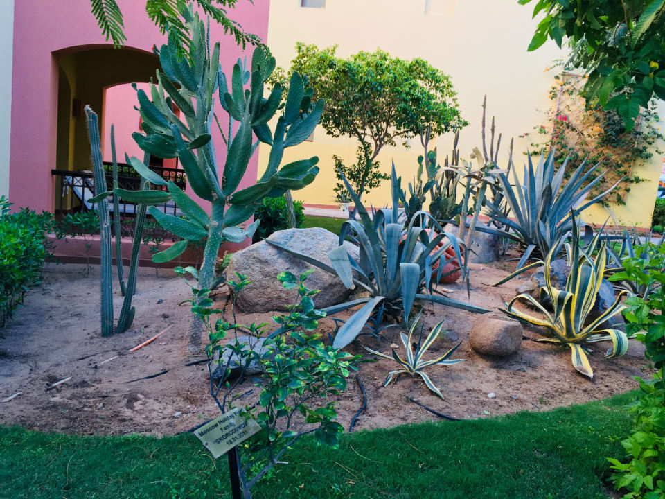 Sonstiges Jaz Makadi Saraya Resort