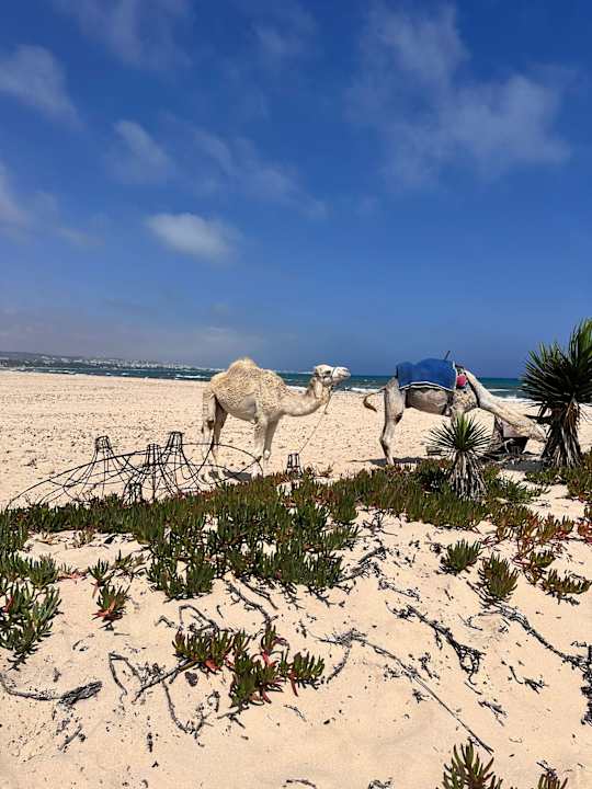 Strand Hotel Paradis Palace