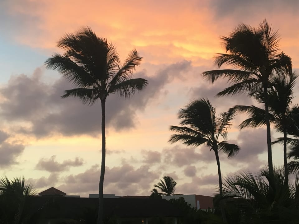 Ausblick Secrets Royal Beach Punta Cana - Adults only