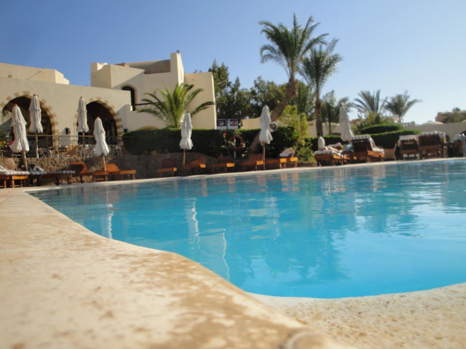 Poolansicht Dawar El Omda - Adults only  (Im Umbau/Renovierung)