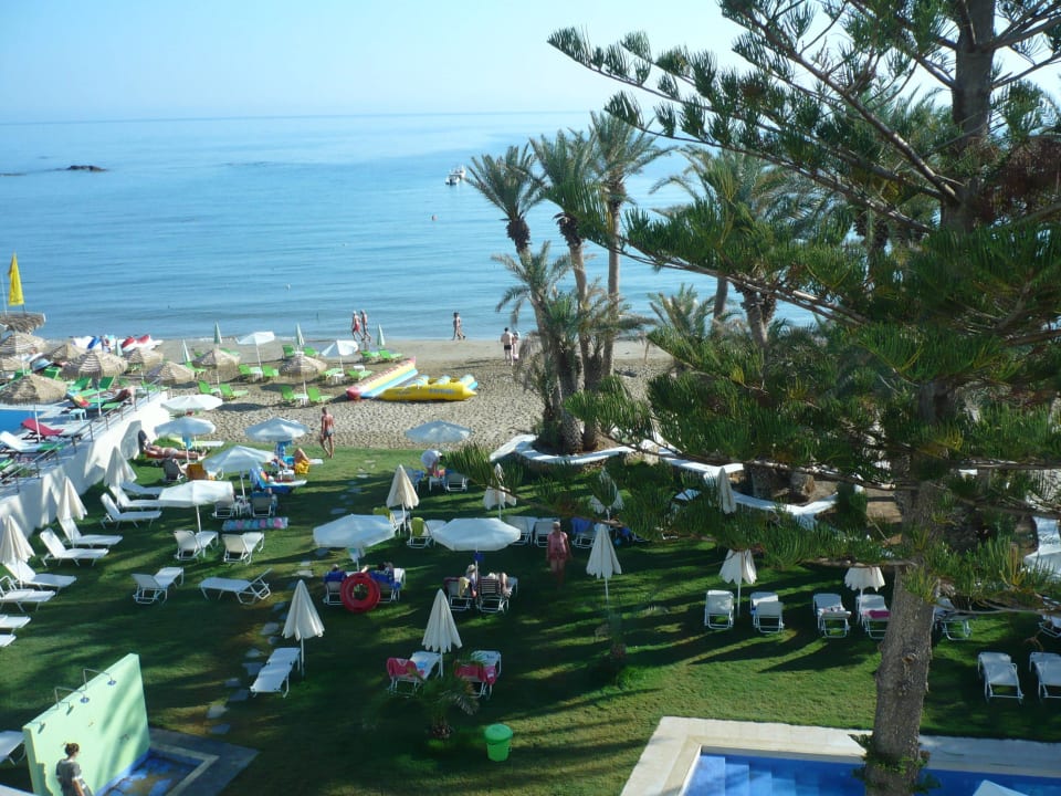 Blick vom Dach auf Pool und Liegewiese Palm Beach Hotel