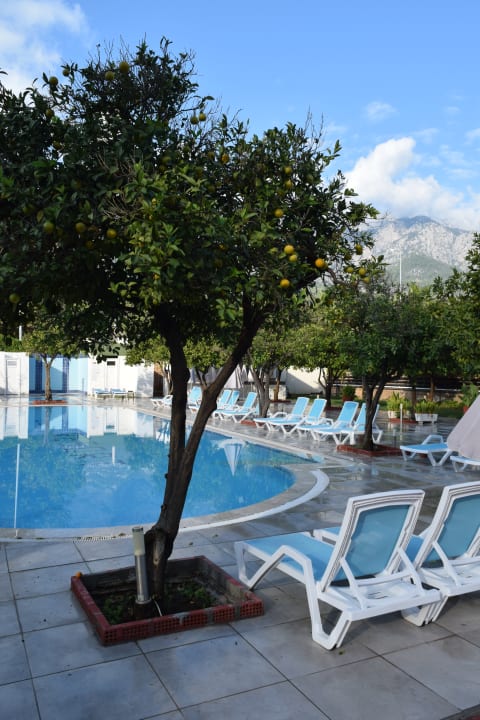 Pool Armas Gül Beach