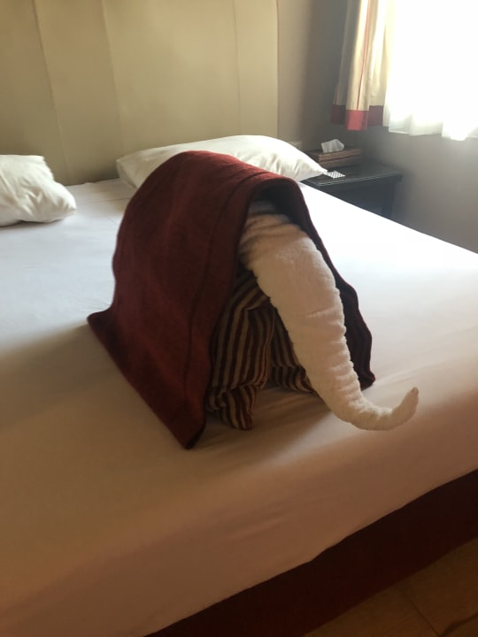 Zimmer Jaz Makadi Oasis Resort