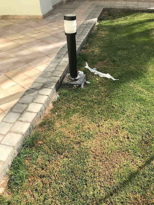 Verschmutzungen im Garten.  Pickalbatros Dana Beach Resort - Hurghada