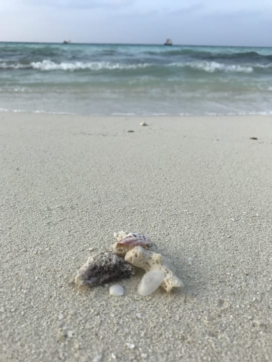 Strand Kuramathi Maldives