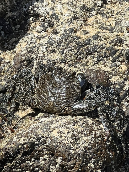 Sonstiges Iberostar Selection Fuerteventura Palace