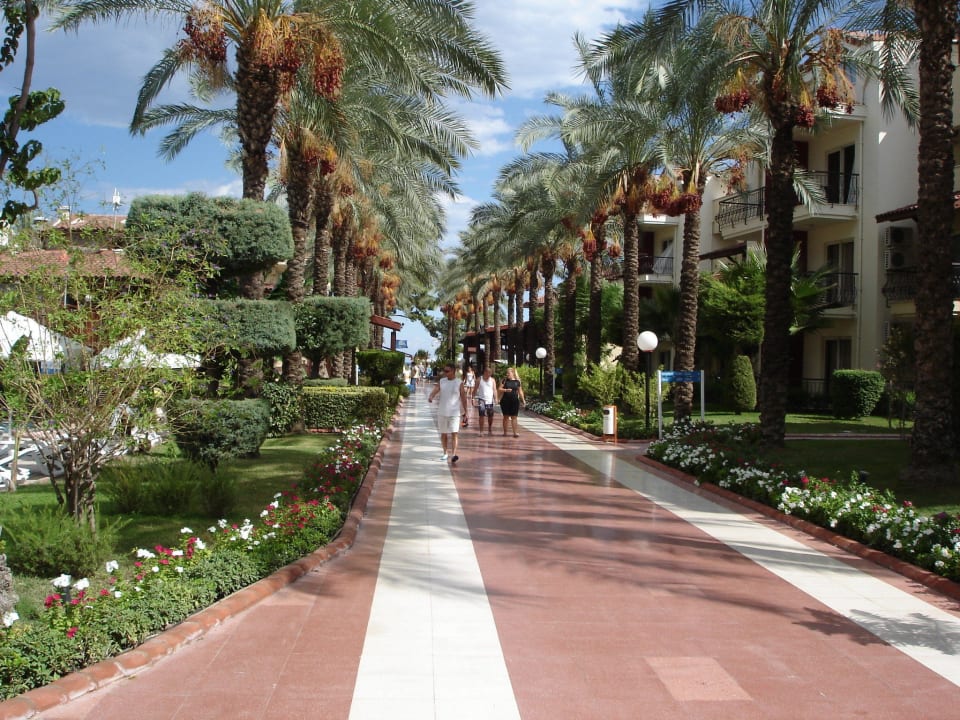 Weg zum Strand Crystal Aura