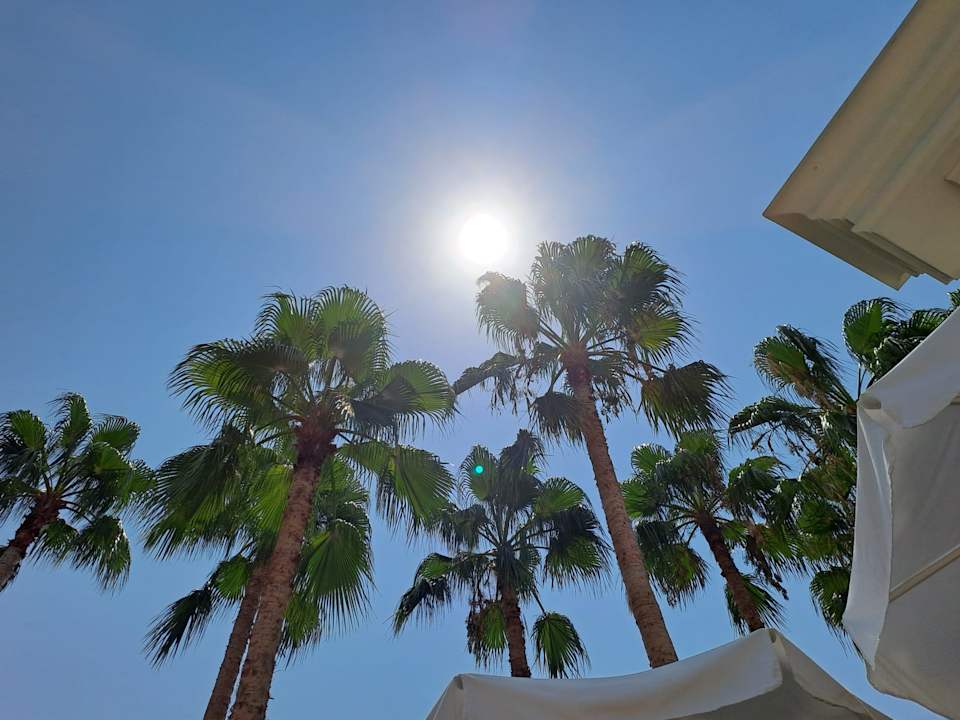 Ausblick allsun Numa Club Side