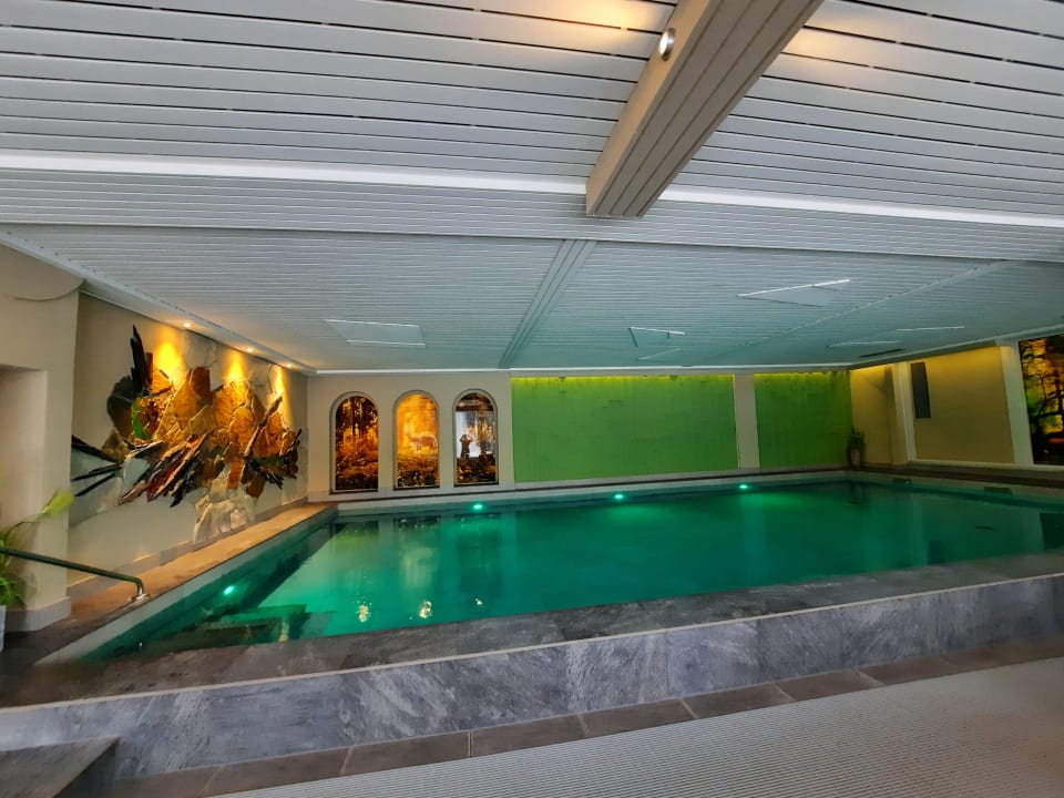 Pool Waldhotel am Notschreipass