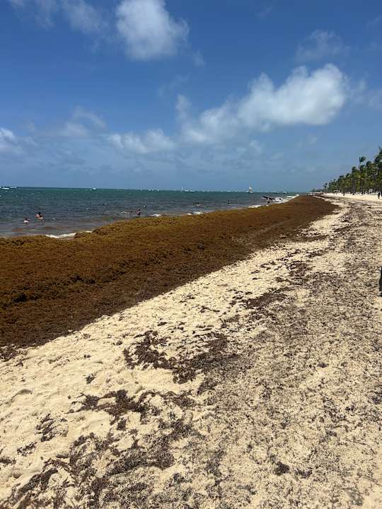 Strand Hotel Riu Palace Punta Cana