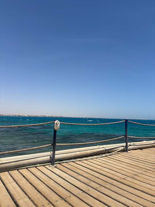 Außenansicht Desert Rose