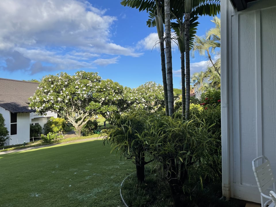 Gartenanlage Hotel Outrigger Kiahuna Plantation