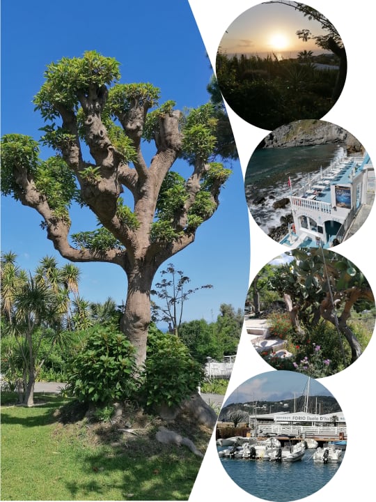 Außenansicht Hotel Paradiso Terme Resort & SPA