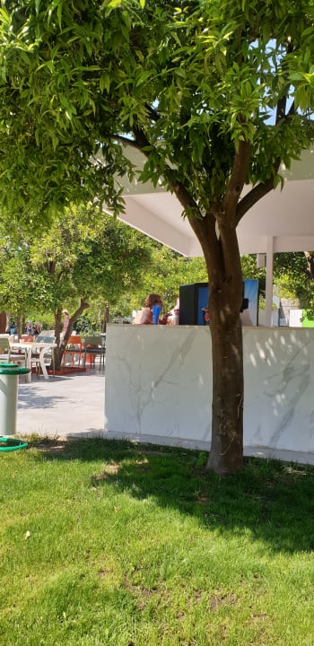 Gastro Armas Gül Beach