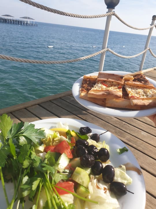 Gastro Royal Seginus