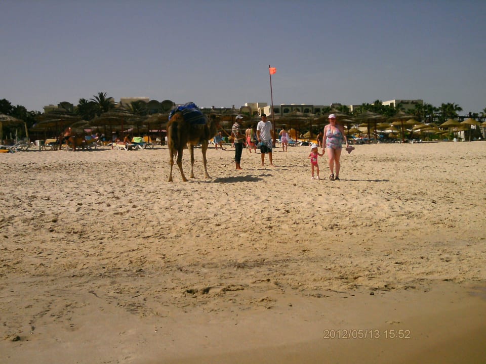 Strand Hotel Nesrine