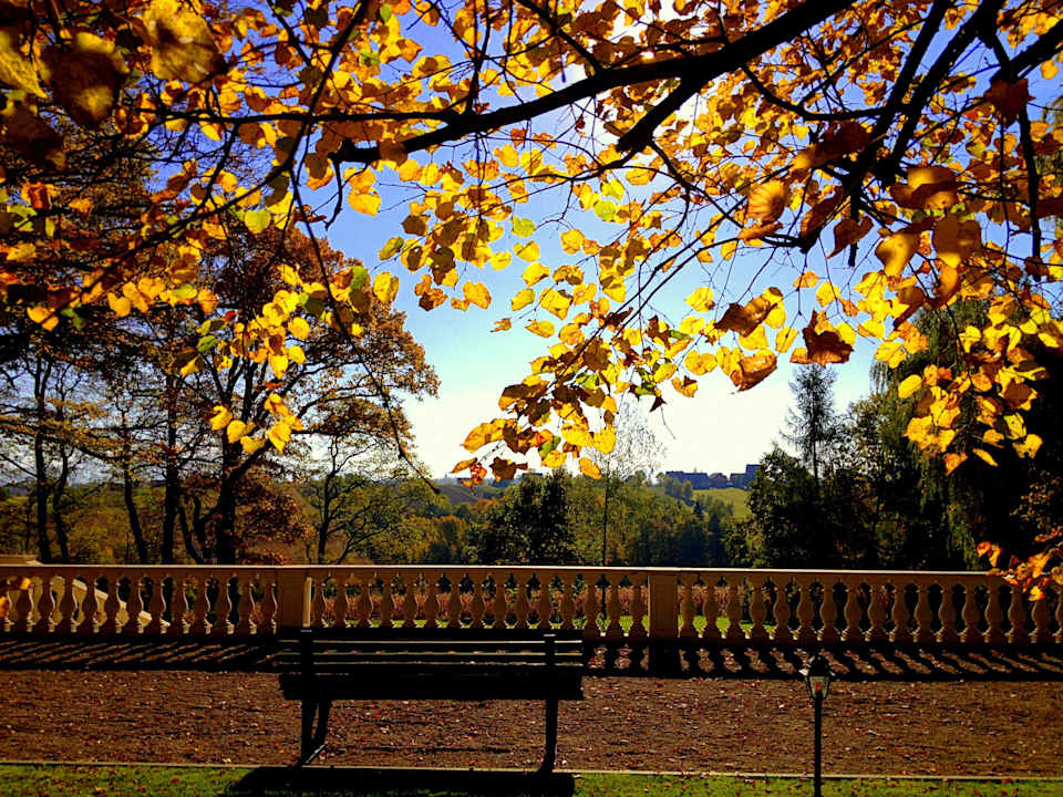 Sierakow Manor gardens Dwór Sieraków