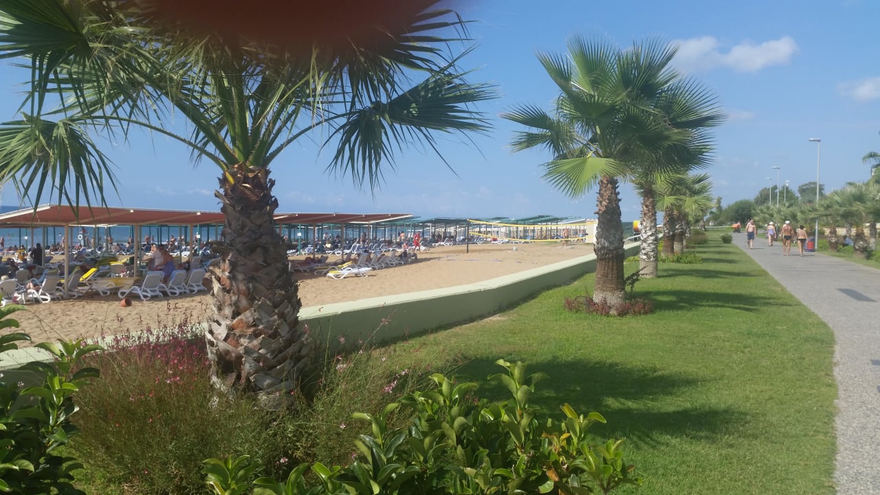 Meer Kamelya Aishen Club