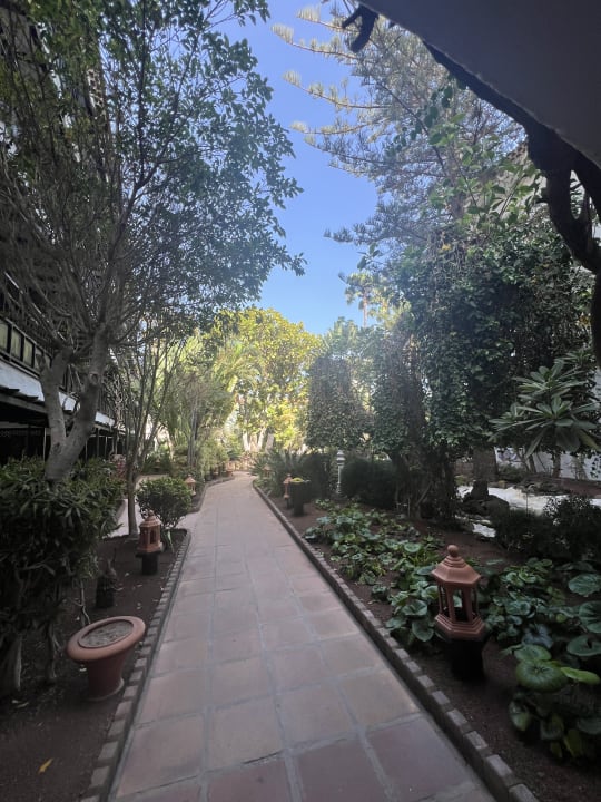 Gartenanlage Hotel Parque Tropical