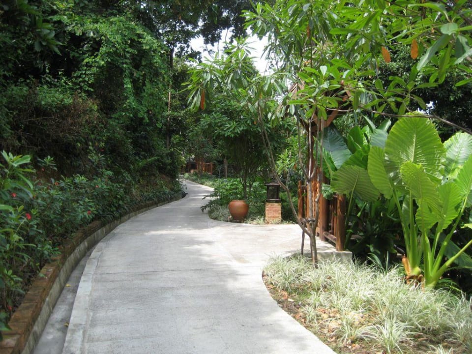 Weg zu den Villen Four Seasons Resort Koh Samui