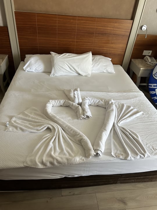 Zimmer Well Palace Side