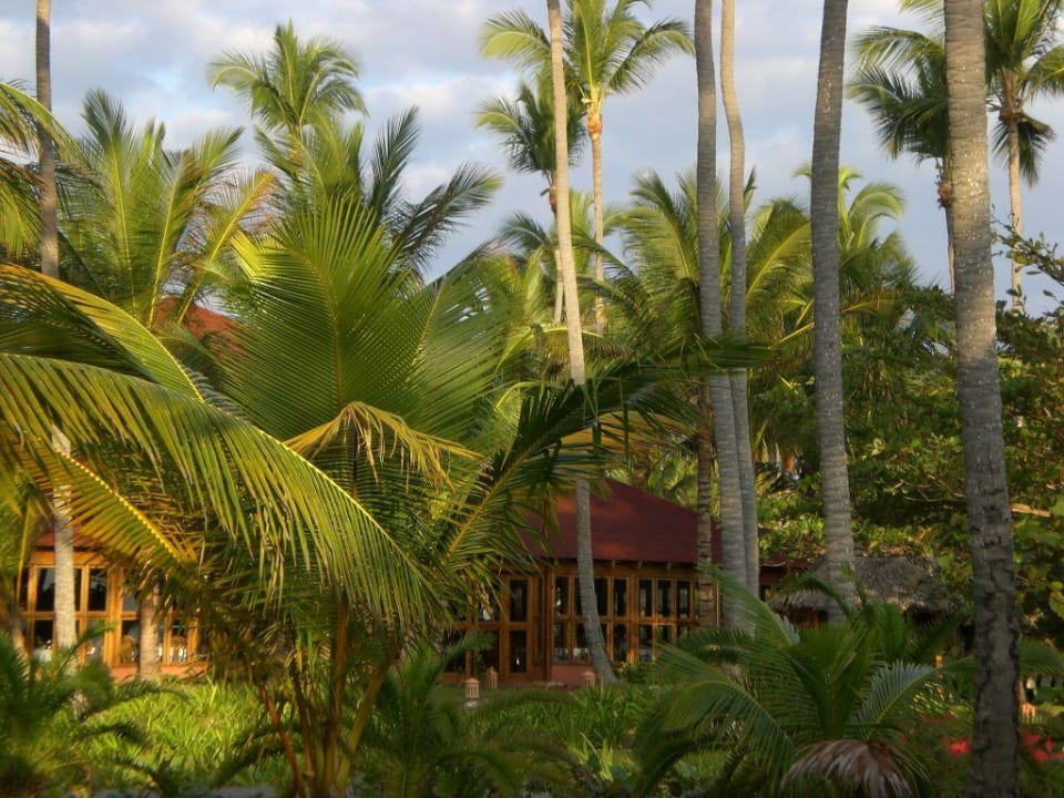 Spezialitäten-Restaurant Grand Palladium Select Bávaro Resort & Spa