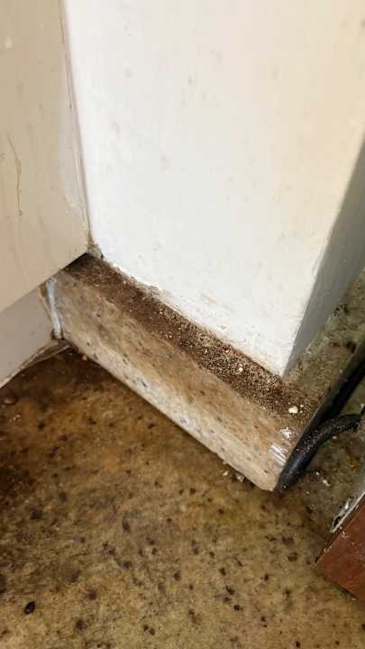 Gastro Iberostar Waves Bellevue