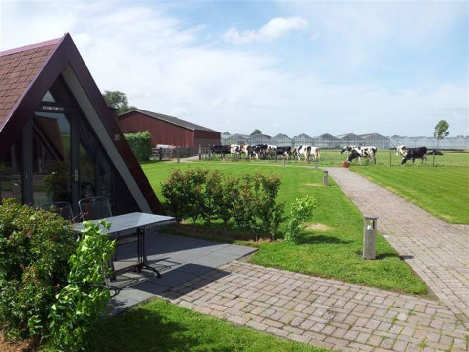 Blick in Richtung angrenzendem Hof Hotel Restinn Andijk