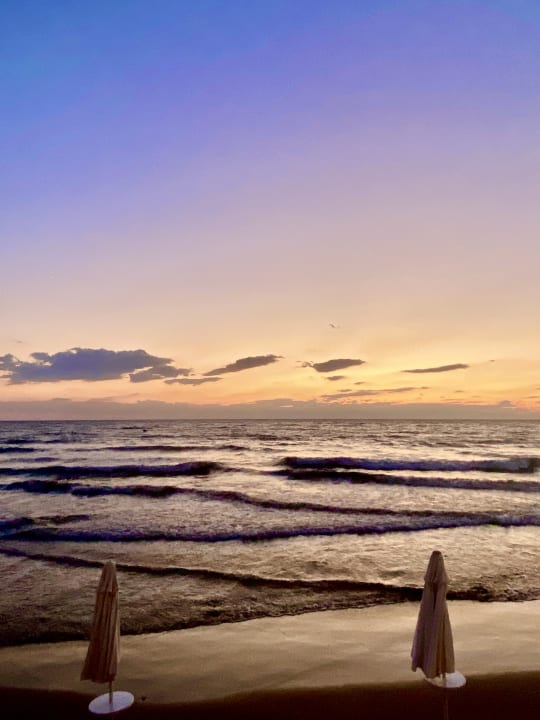 Strand Acanthus Cennet Barut Collection