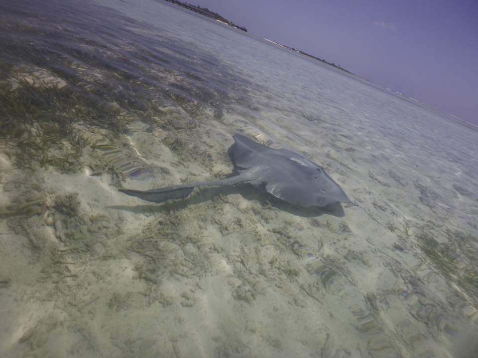 Sonstiges Adaaran Select Hudhuran Fushi - Premium All Inclusive