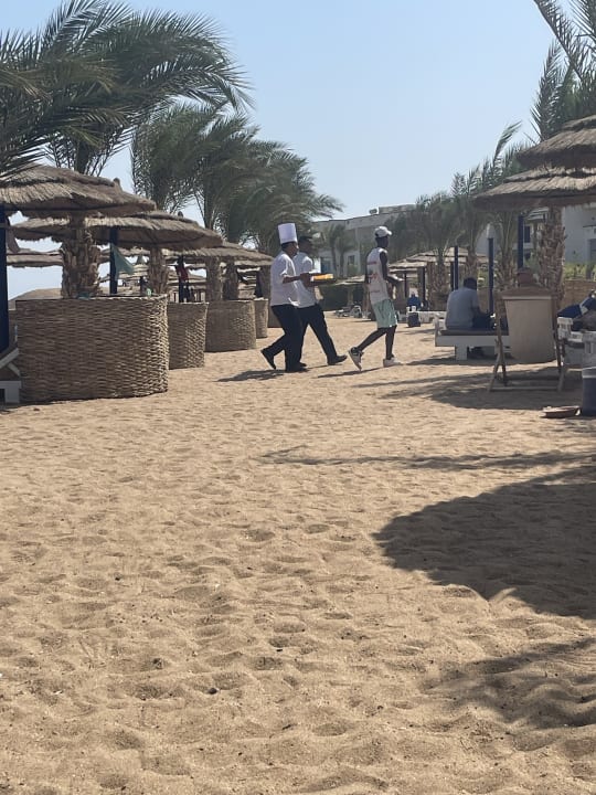 Strand Coral Sun Beach