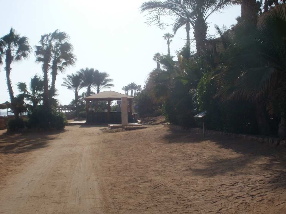 Strandbar Nr.3 Pickalbatros Citadel Resort