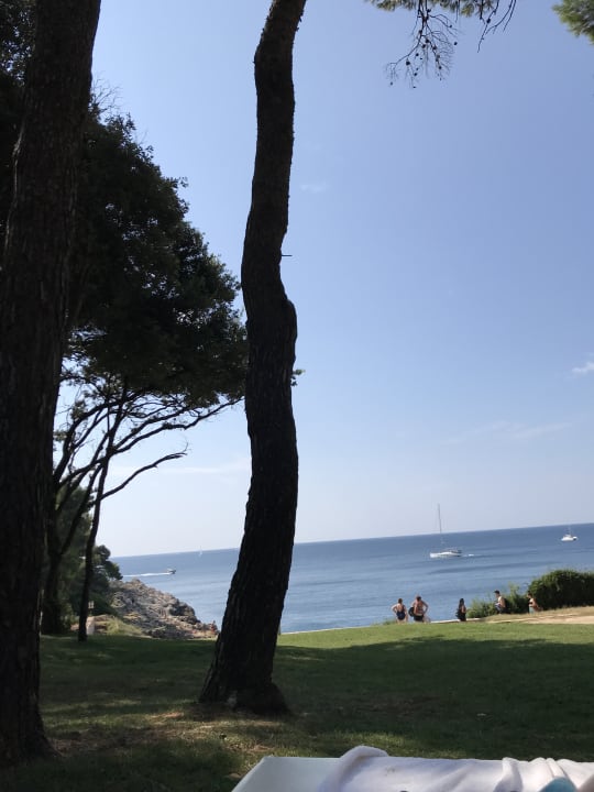 Gartenanlage Park Plaza Arena Pula