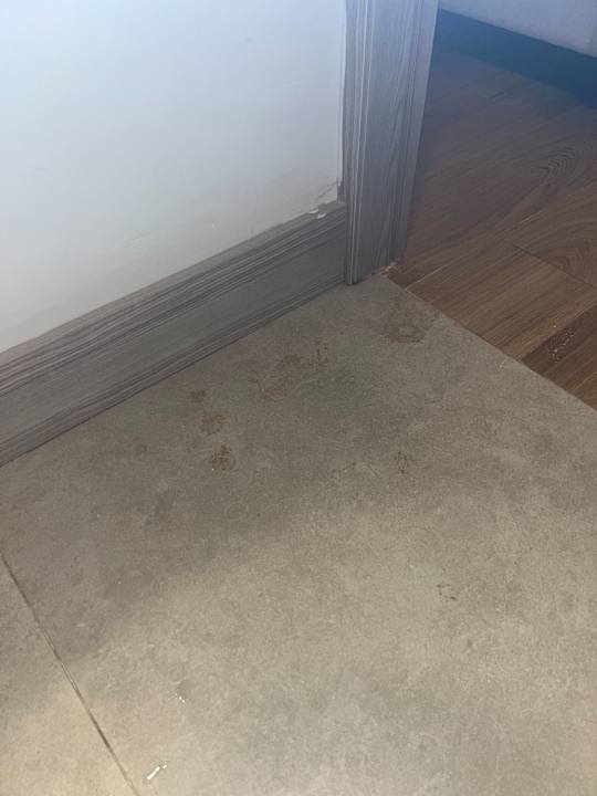 Zimmer Royal Atlantis Icon