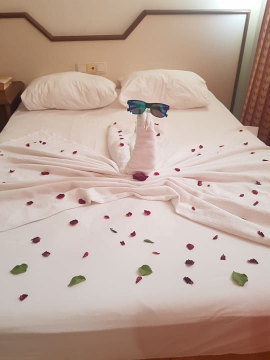 Zimmer Kleopatra Beach Hotel