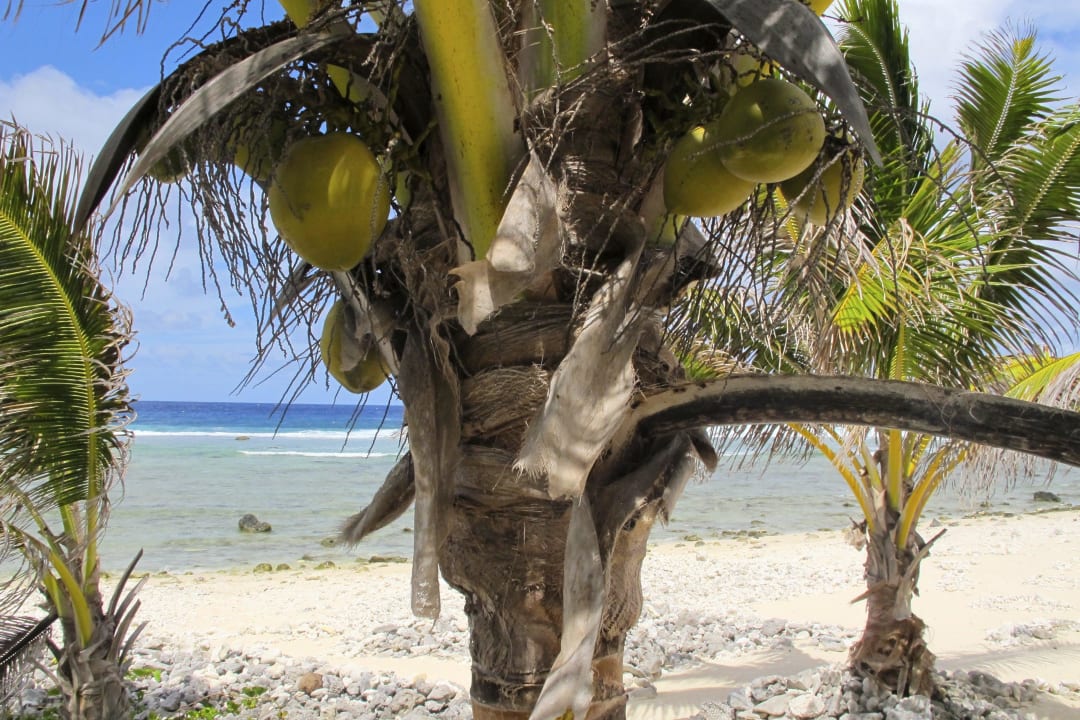 Strand Hotel Tropical Sands