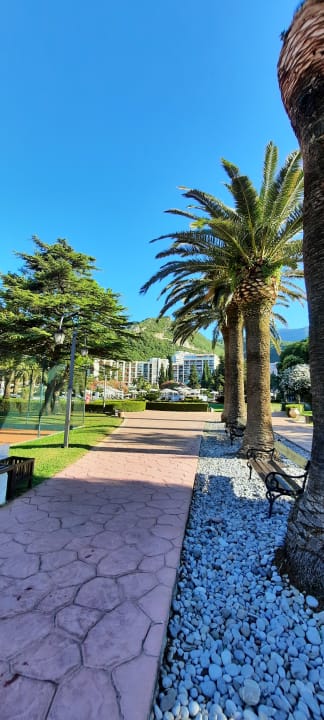 Gartenanlage Iberostar Waves Bellevue