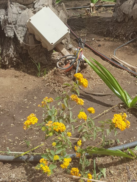 Pool Hotel JAZ Makadi Star & Spa