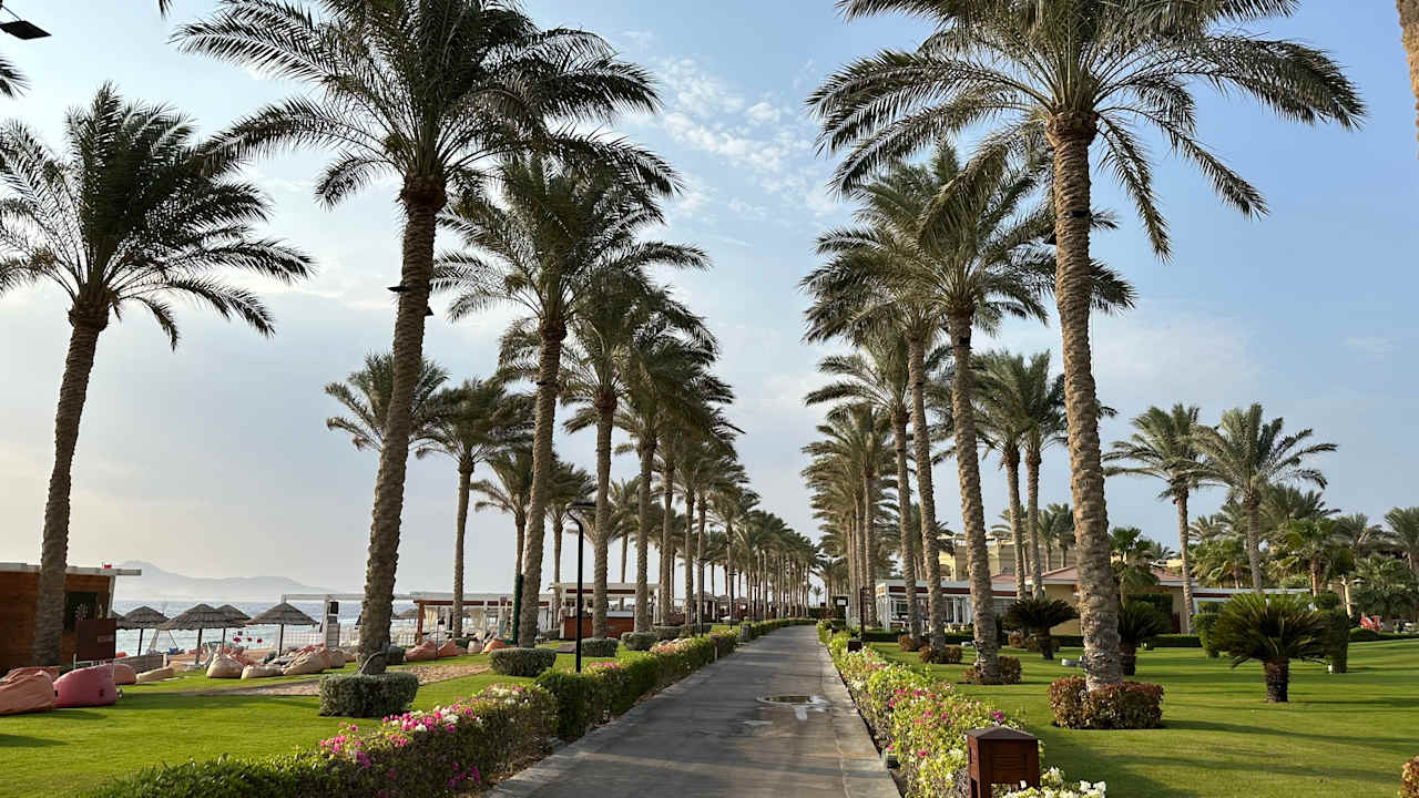 Gartenanlage Rixos Sharm El Sheikh Adults Only 18 +